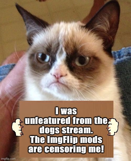 Grumpy Cat Cardboard Sign takes a bold stance against censorship on ImgFlip | I was unfeatured from the dogs stream. The ImgFlip mods are censoring me! | image tagged in grumpy cat cardboard sign,censorship,grumpy cat,imgflip mods | made w/ Imgflip meme maker