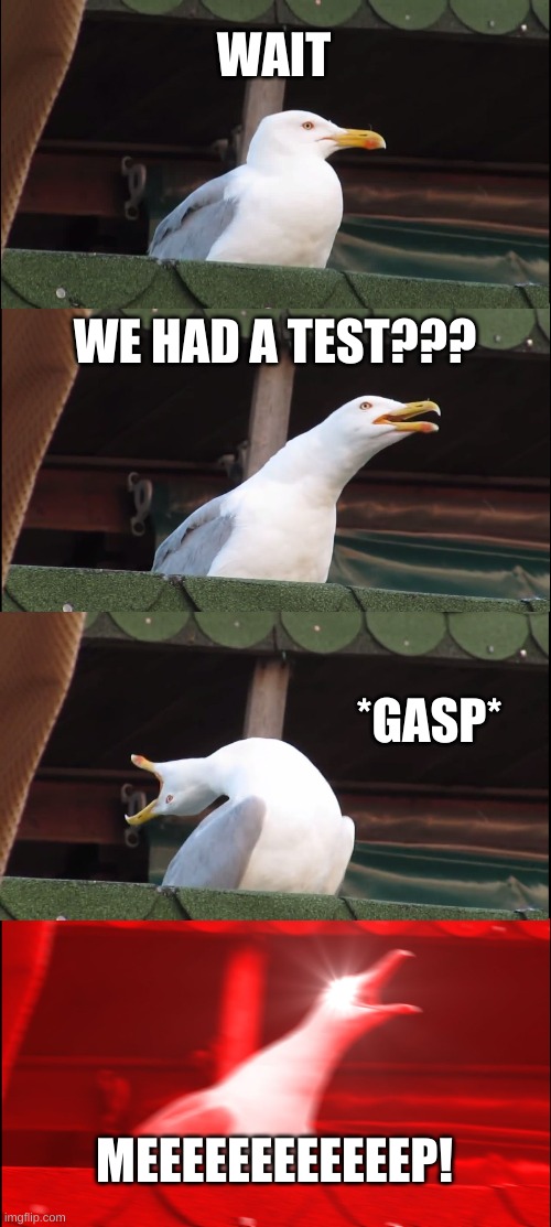Math tests |  WAIT; WE HAD A TEST??? *GASP*; MEEEEEEEEEEEEP! | image tagged in memes,inhaling seagull | made w/ Imgflip meme maker