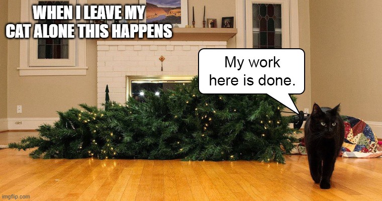 every time | WHEN I LEAVE MY CAT ALONE THIS HAPPENS | image tagged in cats,crismis tree | made w/ Imgflip meme maker