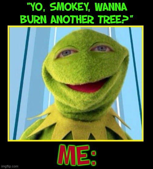 The Eyes Have it! | "YO, SMOKEY, WANNA BURN ANOTHER TREE?" ME: | image tagged in vince vance,stoned,kermit the frog,weed,memes,getting high | made w/ Imgflip meme maker