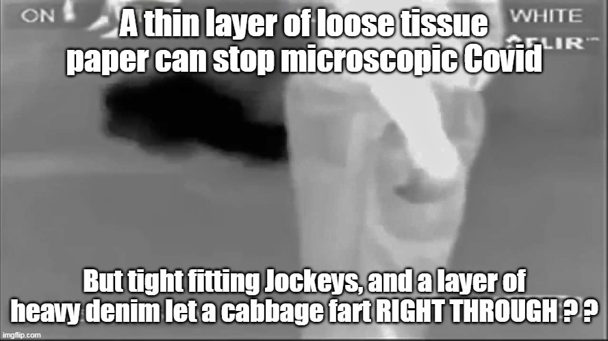 Where's the Science Here? | A thin layer of loose tissue paper can stop microscopic Covid; But tight fitting Jockeys, and a layer of heavy denim let a cabbage fart RIGHT THROUGH ? ? | image tagged in memes | made w/ Imgflip meme maker