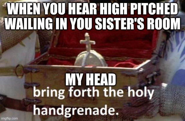 Hmmmmmm | WHEN YOU HEAR HIGH PITCHED WAILING IN YOU SISTER'S ROOM; MY HEAD | image tagged in bring forth the holy hand grenade | made w/ Imgflip meme maker