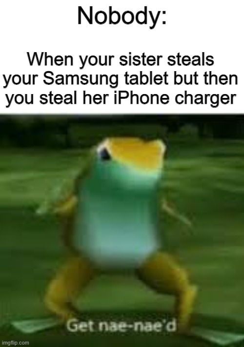 GeT nAe NaEd Am I RiGhT ( comment if relatible :> ) | Nobody:; When your sister steals your Samsung tablet but then you steal her iPhone charger | image tagged in get nae naed,payback | made w/ Imgflip meme maker
