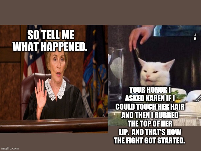 J M; SO TELL ME WHAT HAPPENED. YOUR HONOR I ASKED KAREN IF I COULD TOUCH HER HAIR AND THEN I RUBBED THE TOP OF HER LIP.  AND THAT'S HOW THE FIGHT GOT STARTED. | image tagged in smudge the cat | made w/ Imgflip meme maker