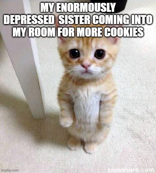 Cute Cat Meme | MY ENORMOUSLY DEPRESSED  SISTER COMING INTO MY ROOM FOR MORE COOKIES | image tagged in memes,cute cat | made w/ Imgflip meme maker