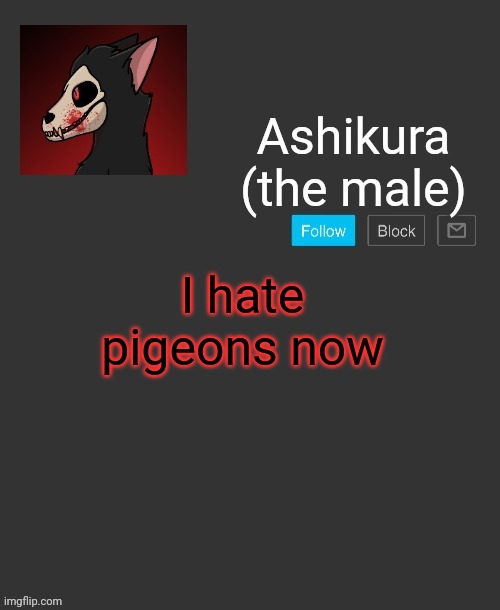 Ashikura's announcement template | I hate pigeons now | image tagged in ashikura's announcement template | made w/ Imgflip meme maker