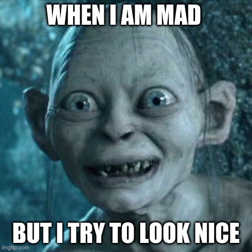 Gollum | WHEN I AM MAD; BUT I TRY TO LOOK NICE | image tagged in memes,gollum | made w/ Imgflip meme maker