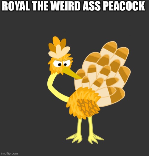 Sas | ROYAL THE WEIRD ASS PEACOCK | made w/ Imgflip meme maker