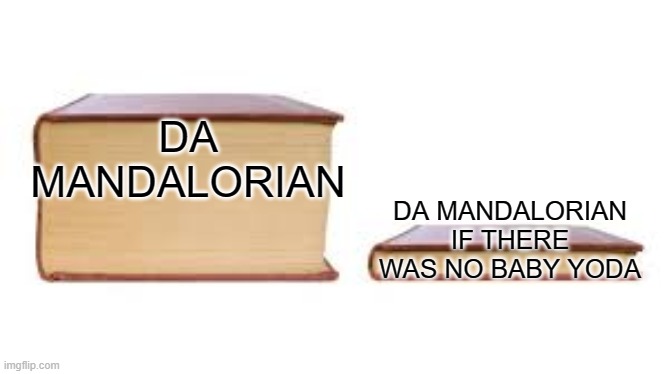 remember episode 2?? | DA MANDALORIAN; DA MANDALORIAN IF THERE WAS NO BABY YODA | image tagged in big book small book | made w/ Imgflip meme maker