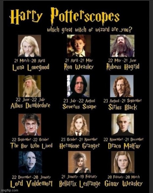 who are you tell in the comments | image tagged in memes,harry potter | made w/ Imgflip meme maker