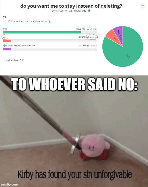 TO WHOEVER SAID NO: | image tagged in kirby has found your sin unforgivable | made w/ Imgflip meme maker