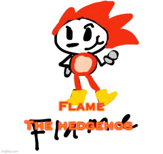 Flame the hedgehog | Flame; The hedgehog | made w/ Imgflip meme maker