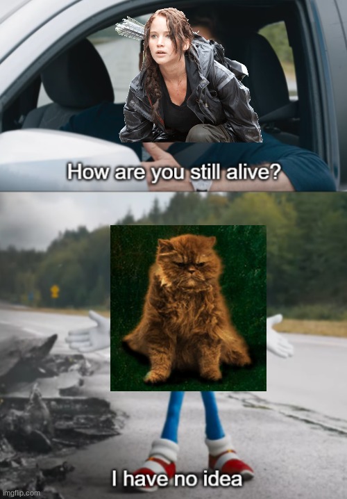 Katniss wondering how Buttercup is still alive after District 12 be like | image tagged in sonic how are you still alive,hunger games,katniss everdeen,cat,the hunger games,meme | made w/ Imgflip meme maker