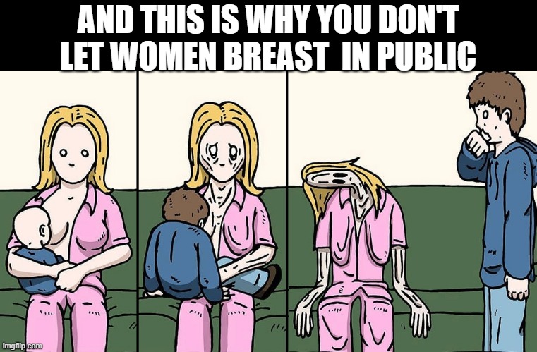 Cover Up | AND THIS IS WHY YOU DON'T LET WOMEN BREAST  IN PUBLIC | image tagged in dark humor | made w/ Imgflip meme maker