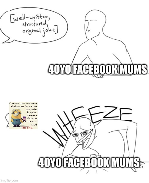 Why? Why are they so funny? |  40YO FACEBOOK MUMS; 40YO FACEBOOK MUMS | image tagged in wheeze | made w/ Imgflip meme maker