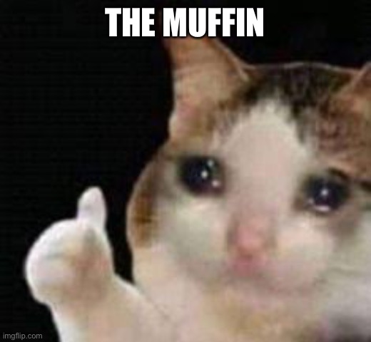 Approved crying cat | THE MUFFIN | image tagged in approved crying cat | made w/ Imgflip meme maker