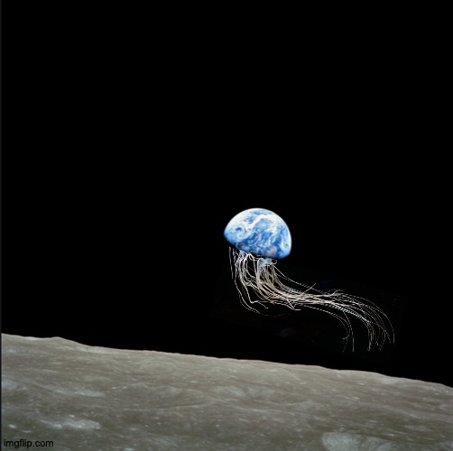 As It Turns Out, The Earth Is a Jellyfish | image tagged in memes,earth,jellyfish,cute,planet | made w/ Imgflip meme maker