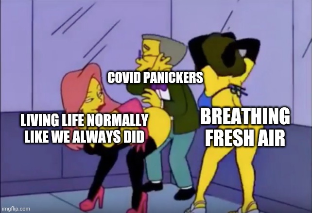 Living in fear in the name of "public health" | COVID PANICKERS; LIVING LIFE NORMALLY LIKE WE ALWAYS DID; BREATHING FRESH AIR | image tagged in smithers vs strippers,covid-19,hysteria,tyranny | made w/ Imgflip meme maker