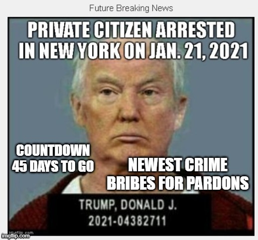 Countdown to Trump's Arrest | NEWEST CRIME BRIBES FOR PARDONS; COUNTDOWN 45 DAYS TO GO | image tagged in countdown,no pardon for state crimes,lock him up | made w/ Imgflip meme maker