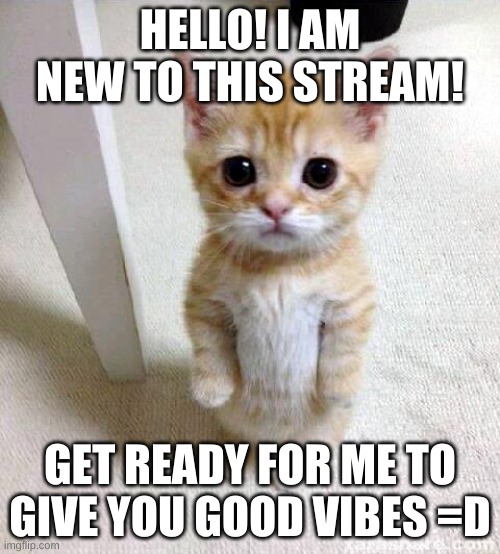 I really like this stream so far =3 I plan to post in it daily! | HELLO! I AM NEW TO THIS STREAM! GET READY FOR ME TO GIVE YOU GOOD VIBES =D | image tagged in memes,cute cat | made w/ Imgflip meme maker