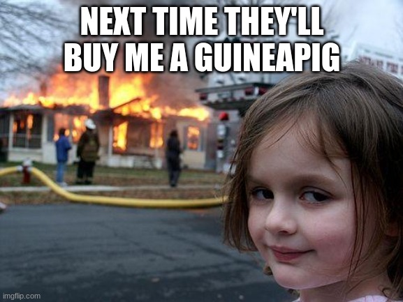 Disaster Girl | NEXT TIME THEY'LL BUY ME A GUINEAPIG | image tagged in memes,disaster girl | made w/ Imgflip meme maker