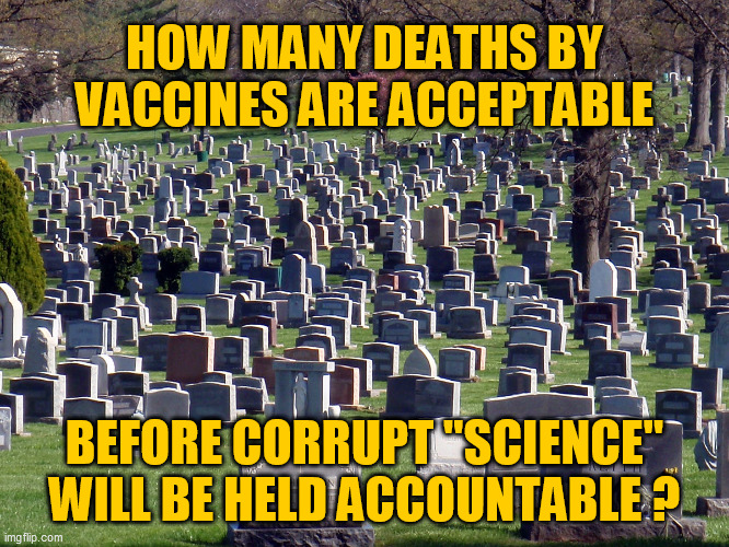 How many deaths...? | HOW MANY DEATHS BY VACCINES ARE ACCEPTABLE; BEFORE CORRUPT "SCIENCE" WILL BE HELD ACCOUNTABLE ? | image tagged in big cemetery,vaccines,corrupt science,scamdemic,agenda 21,the great reset | made w/ Imgflip meme maker