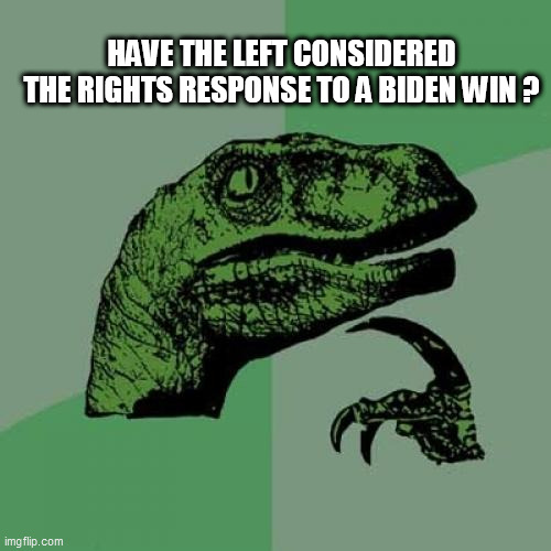 Philosoraptor | HAVE THE LEFT CONSIDERED THE RIGHTS RESPONSE TO A BIDEN WIN ? | image tagged in memes,philosoraptor | made w/ Imgflip meme maker