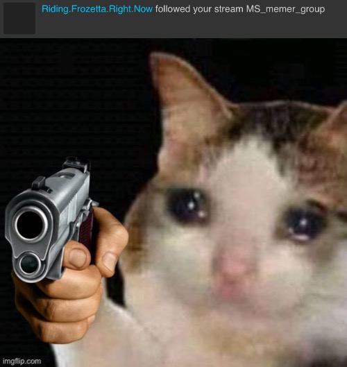 No, just no... | image tagged in sad cat pointing gun | made w/ Imgflip meme maker