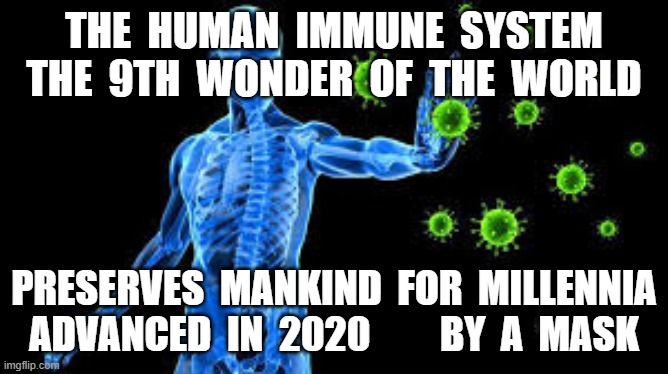 THE  HUMAN  IMMUNE  SYSTEM
THE  9TH  WONDER  OF  THE  WORLD; PRESERVES  MANKIND  FOR  MILLENNIA
ADVANCED  IN  2020         BY  A  MASK | image tagged in masks,plandemic | made w/ Imgflip meme maker