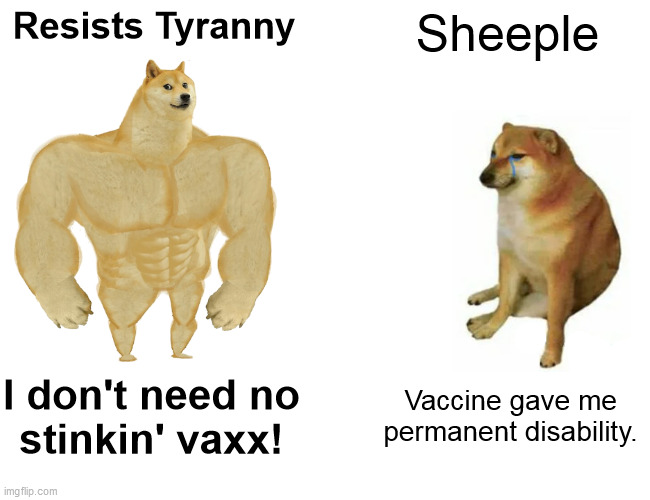 Resists tyranny vs. Sheeple (Buff Doge vs. Cheems) | Resists Tyranny; Sheeple; I don't need no
stinkin' vaxx! Vaccine gave me
permanent disability. | image tagged in memes,buff doge vs cheems,tyranny,sheeple,vaccine skepticism,scamdemic | made w/ Imgflip meme maker