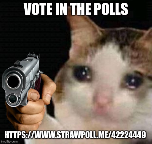 Sad cat pointing gun | VOTE IN THE POLLS; HTTPS://WWW.STRAWPOLL.ME/42224449 | image tagged in sad cat pointing gun | made w/ Imgflip meme maker