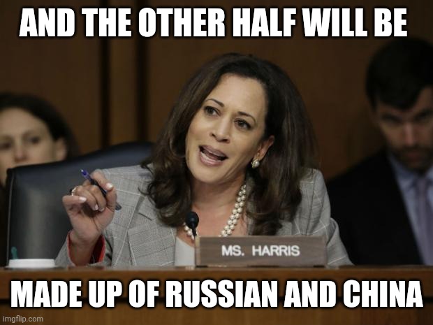 Kamala Harris | AND THE OTHER HALF WILL BE MADE UP OF RUSSIAN AND CHINA | image tagged in kamala harris | made w/ Imgflip meme maker