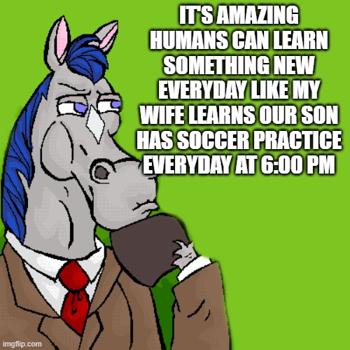 learn something new everyday | IT'S AMAZING HUMANS CAN LEARN SOMETHING NEW EVERYDAY LIKE MY WIFE LEARNS OUR SON HAS SOCCER PRACTICE EVERYDAY AT 6:00 PM | image tagged in horse,kewlew | made w/ Imgflip meme maker