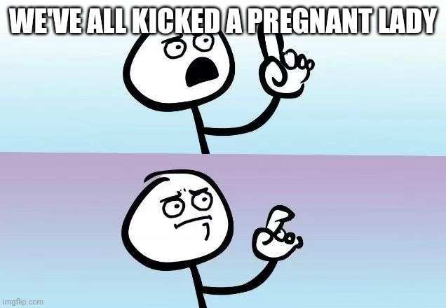 Speechless Stickman | WE'VE ALL KICKED A PREGNANT LADY | image tagged in speechless stickman,funny memes | made w/ Imgflip meme maker