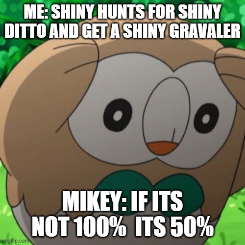 my life in Pokémon |  ME: SHINY HUNTS FOR SHINY DITTO AND GET A SHINY GRAVALER; MIKEY: IF ITS NOT 100%  ITS 50% | image tagged in rowlet meme template | made w/ Imgflip meme maker
