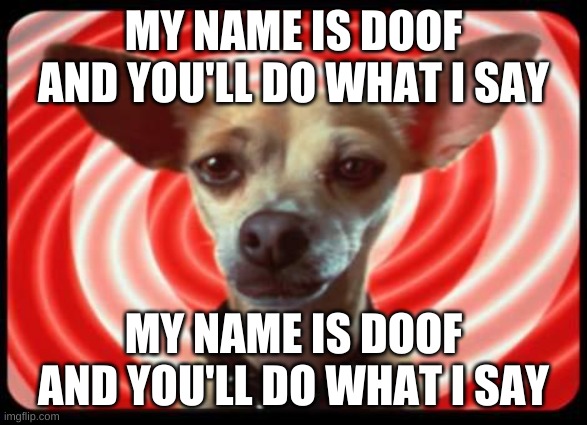 taco bell dog | MY NAME IS DOOF AND YOU'LL DO WHAT I SAY; MY NAME IS DOOF AND YOU'LL DO WHAT I SAY | image tagged in taco bell dog | made w/ Imgflip meme maker