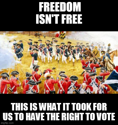 freedom | FREEDOM ISN'T FREE; THIS IS WHAT IT TOOK FOR US TO HAVE THE RIGHT TO VOTE | image tagged in election 2020 | made w/ Imgflip meme maker