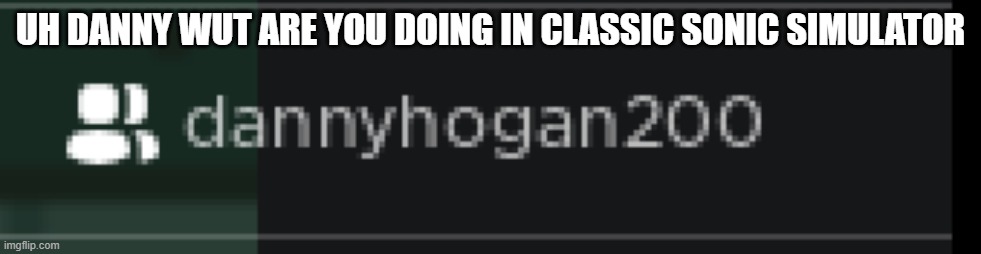 UH DANNY WUT ARE YOU DOING IN CLASSIC SONIC SIMULATOR | image tagged in dannyhogan | made w/ Imgflip meme maker