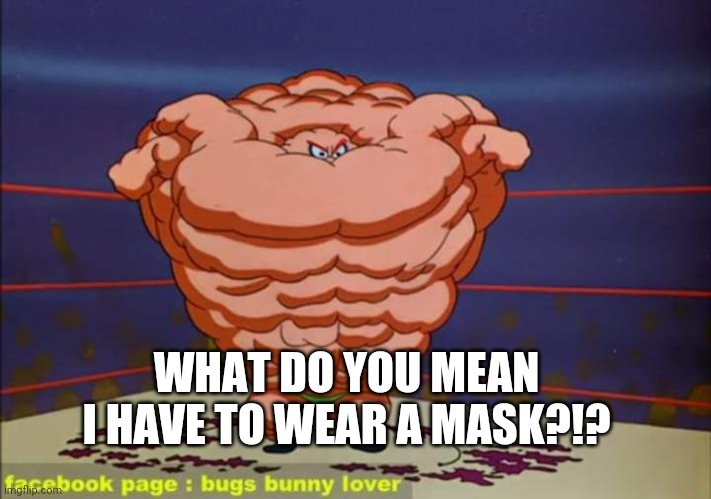 Mask | WHAT DO YOU MEAN I HAVE TO WEAR A MASK?!? | image tagged in anti | made w/ Imgflip meme maker