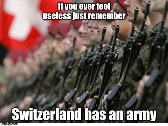 Why? | If you ever feel useless just remember; Switzerland has an army | image tagged in memes,funny,funny memes | made w/ Imgflip meme maker