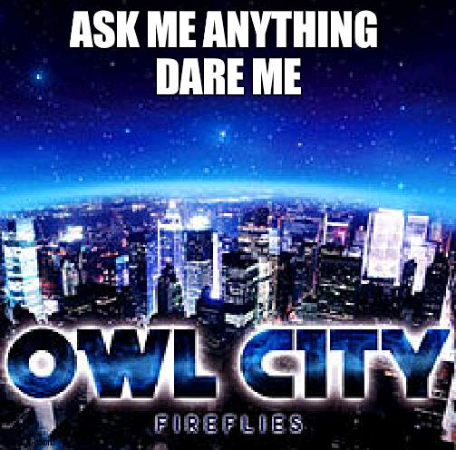 Owl city | ASK ME ANYTHING 
DARE ME | image tagged in owl city | made w/ Imgflip meme maker