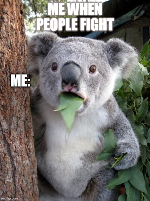 Surprised Koala Meme | ME WHEN PEOPLE FIGHT; ME: | image tagged in memes,surprised koala | made w/ Imgflip meme maker