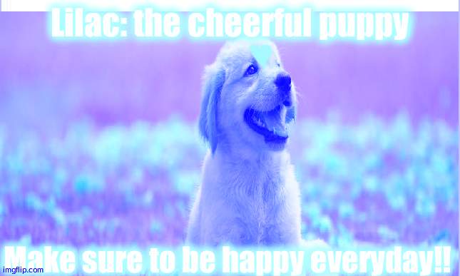 Henlo | Lilac: the cheerful puppy; Make sure to be happy everyday!! | image tagged in cute puppies | made w/ Imgflip meme maker