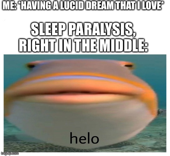 helo fish | ME: *HAVING A LUCID DREAM THAT I LOVE*; SLEEP PARALYSIS, RIGHT IN THE MIDDLE: | image tagged in helo fish | made w/ Imgflip meme maker