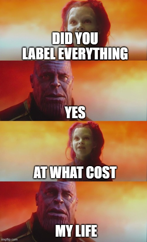 At what cost? | DID YOU LABEL EVERYTHING YES AT WHAT COST MY LIFE | image tagged in at what cost | made w/ Imgflip meme maker