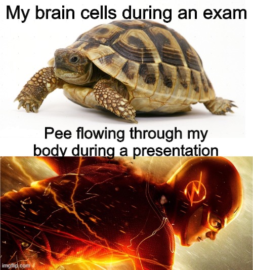 If only it was the other way around... | My brain cells during an exam; Pee flowing through my body during a presentation | image tagged in slow vs fast meme,memes | made w/ Imgflip meme maker