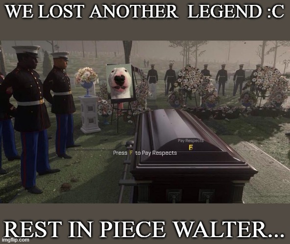 Press F to Pay Respects | WE LOST ANOTHER  LEGEND :C; REST IN PIECE WALTER... | image tagged in press f to pay respects,walter | made w/ Imgflip meme maker