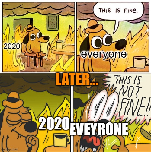 Sure is fun. | 2020; everyone; LATER... 2020; EVEYRONE | image tagged in memes,this is fine,this is not fine | made w/ Imgflip meme maker