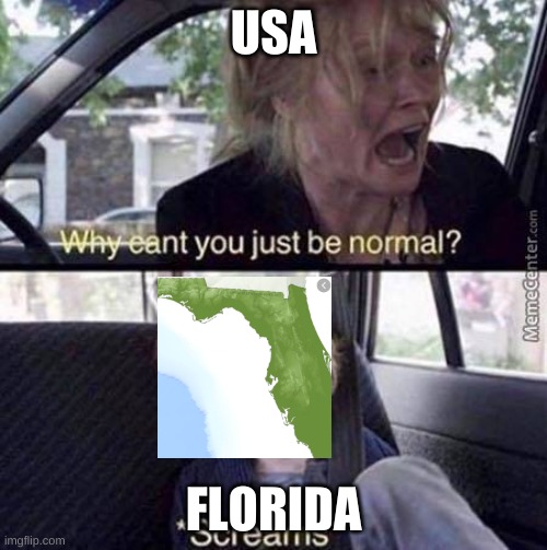 Why Can't You Just Be Normal | USA; FLORIDA | image tagged in why can't you just be normal | made w/ Imgflip meme maker