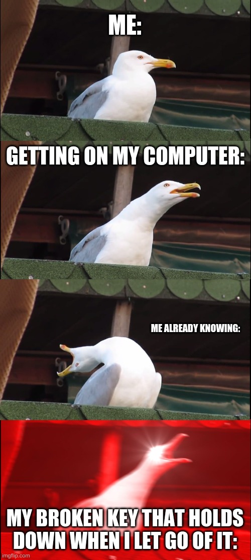 Inhaling Seagull Meme | ME:; GETTING ON MY COMPUTER:; ME ALREADY KNOWING:; MY BROKEN KEY THAT HOLDS DOWN WHEN I LET GO OF IT: | image tagged in memes,inhaling seagull | made w/ Imgflip meme maker